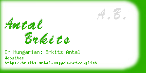 antal brkits business card